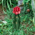 thumbnail image 4 of Cactus Flower Decor Insert, Easy Install Decorative Garden Inserts Simulation  for Patios Gardens Outdoor, 4 of 7