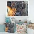 thumbnail image 3 of Designart 'Close Up Of Scottish Cow On Moorland III' Farmhouse Framed Art Print, 3 of 4