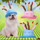 thumbnail image 1 of FESTFENDS Sombrero Fiesta Para Perros Y Con De Pastel Y Velas Rosado Para Celebraciones, 1 of 6