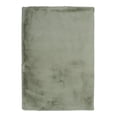 thumbnail image 1 of Maven Faux Rabbit Pale Green 8 ft. x 10 ft. Area Rug, 1 of 6