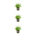 thumbnail image 2 of kurtrusly Realistic Artificial Succulent Low Maintenance Elegant Easy To Clean Artificial Money Tree In Pot blue babysbreath 3Set, 2 of 6