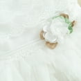 thumbnail image 5 of Bagilaanoe Newborn Baby Girl Party Dress Short Sleeve A-line Princess Dresses 6M 12M 18M 24M Infant Patchwork Tulle Skirt, 5 of 7