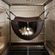 thumbnail image 2 of Yhmxh Hamaca de malla transpirable para jaula de gatos, cama colgante estilo cueva con juguete de pompón, nido suave para dormir para gatitos, gatos y mascotas pequeñas en jaulas, ideal para descan, 2 of 6