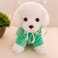 thumbnail image 1 of Juguete de peluche de perro Ted creativo de 20cm, muñeco bonito y suave, regalo de cumpleaños para chico zhangmengya LED, 1 of 2