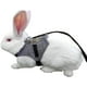thumbnail image 1 of Arnés de conejo Correa para roedores con botón ajustable Estilo Traje formal para gatito Conejo Pequeña mascota caminando S ZefeiWu 8390611241889, 1 of 1