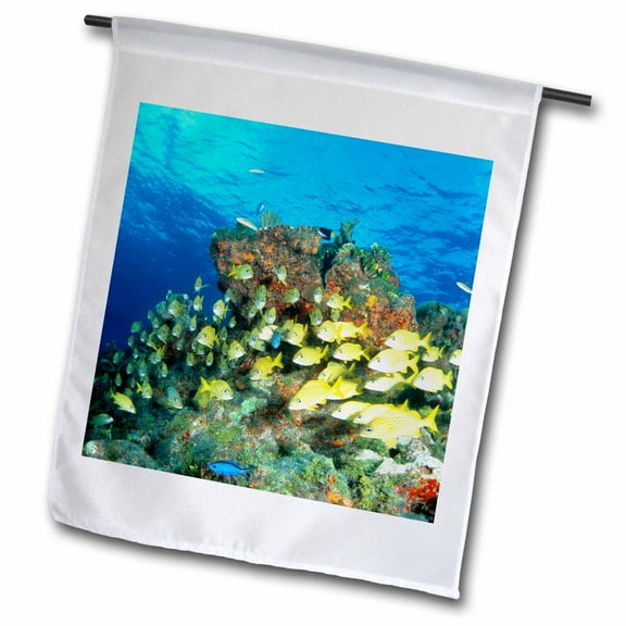 3dRose, Bluestriped grunt fish, Caribbean - NA02 MDE0014 - Michael DeFreitas, 12 x 18 inch Garden Flag