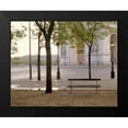 thumbnail image 2 of Blaustein, Alan 18x15 Black Modern Framed Museum Art Print Titled - Banc de Jardin - 13, 2 of 5