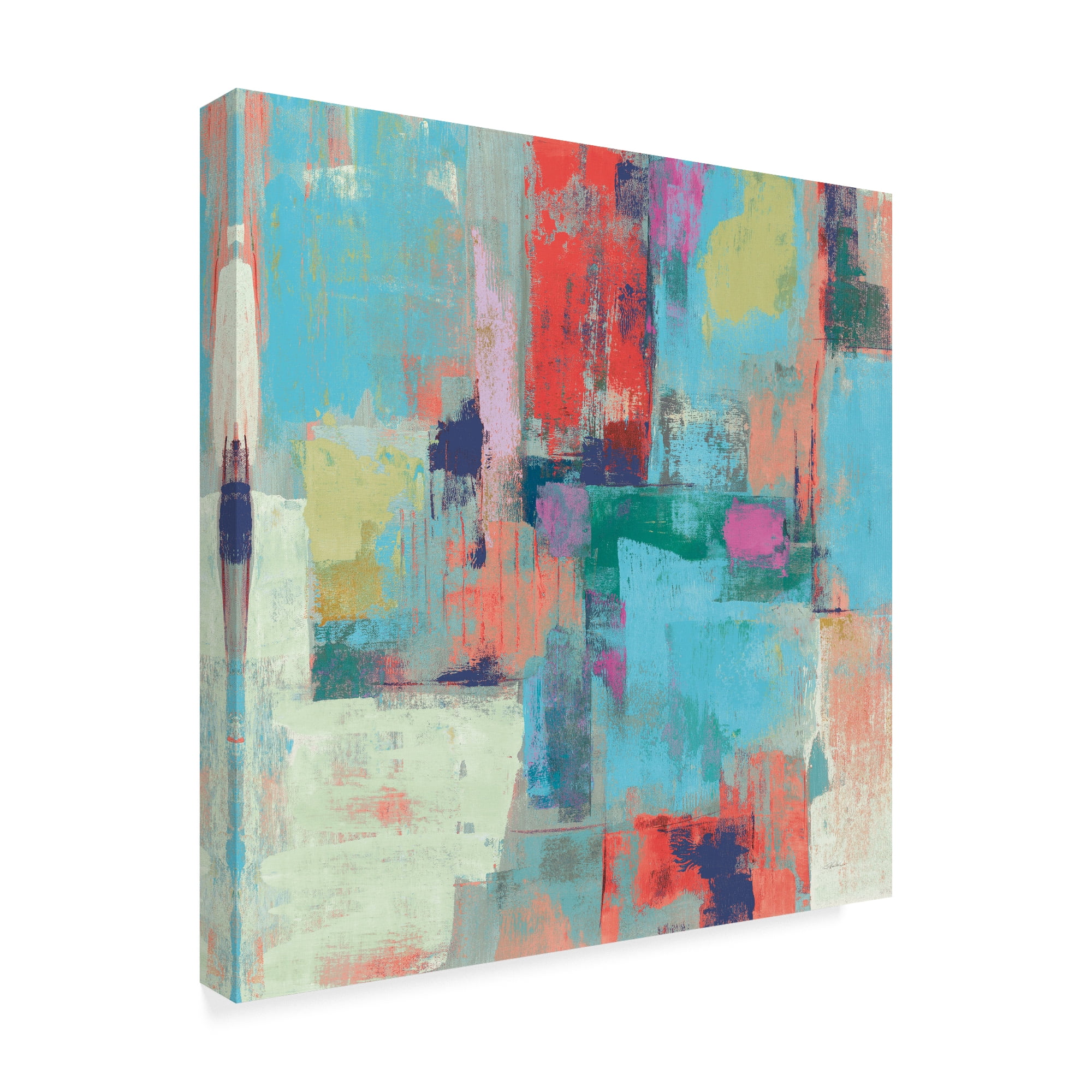 Trademark Fine Art 'Bright Reflections Crop' Canvas Art by Silvia Vassileva
