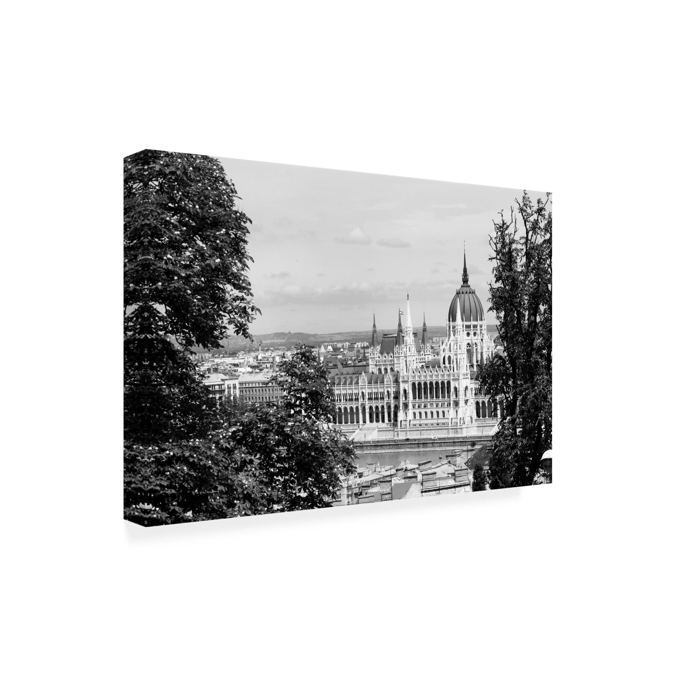 Canvas Wall Art - DANE 'Budapest 19' Wall Art for Living Room, Bedroom, or Office Décor by Trademark Fine Art - 47 x 30 Inches