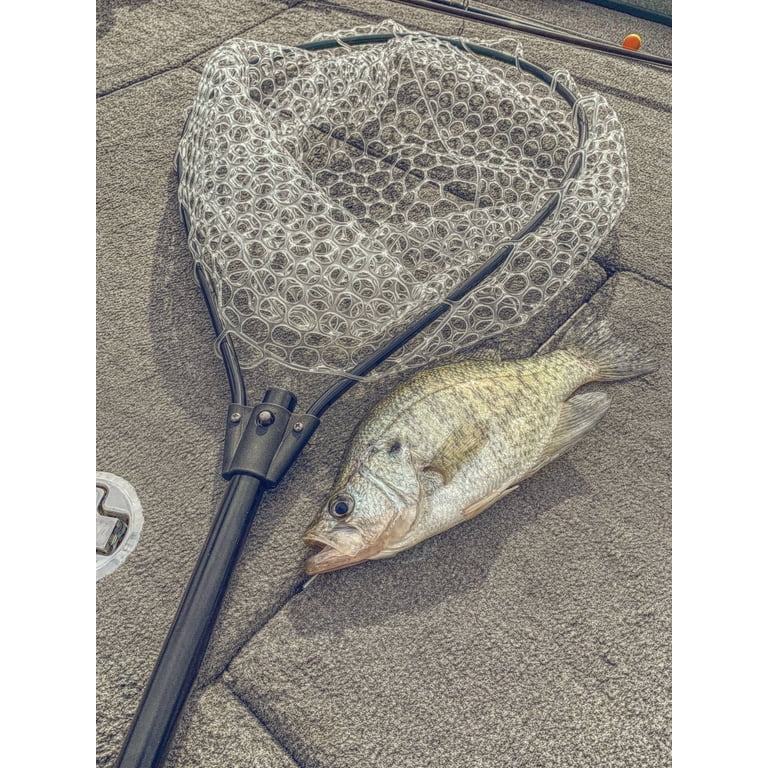 cheap steel head fishing poles Salmon/Steelhead Rods Archives
