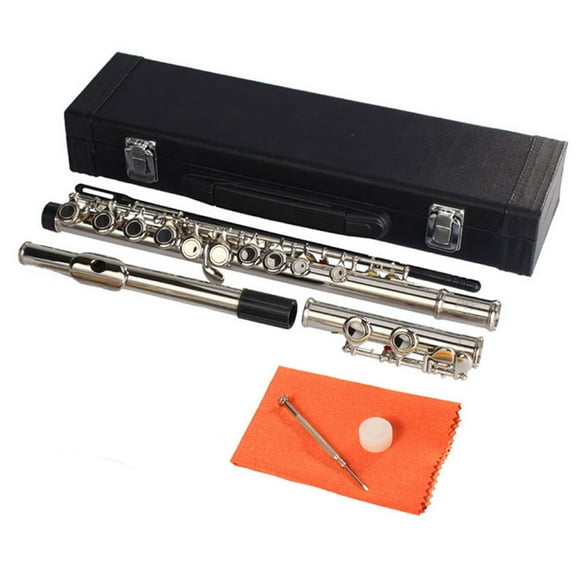 Nickel Plated C Closed Hole Concert Band Flute Silver