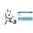 thumbnail image 4 of Kensington Premium Breakaway Nylon Halter, 4 of 4