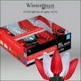 thumbnail image 6 of Wintergreen Lighting C9 Red Cool White LED Christmas String Lights, Set of 24 Lights on Green Wire, 16.3ft, 6 of 6