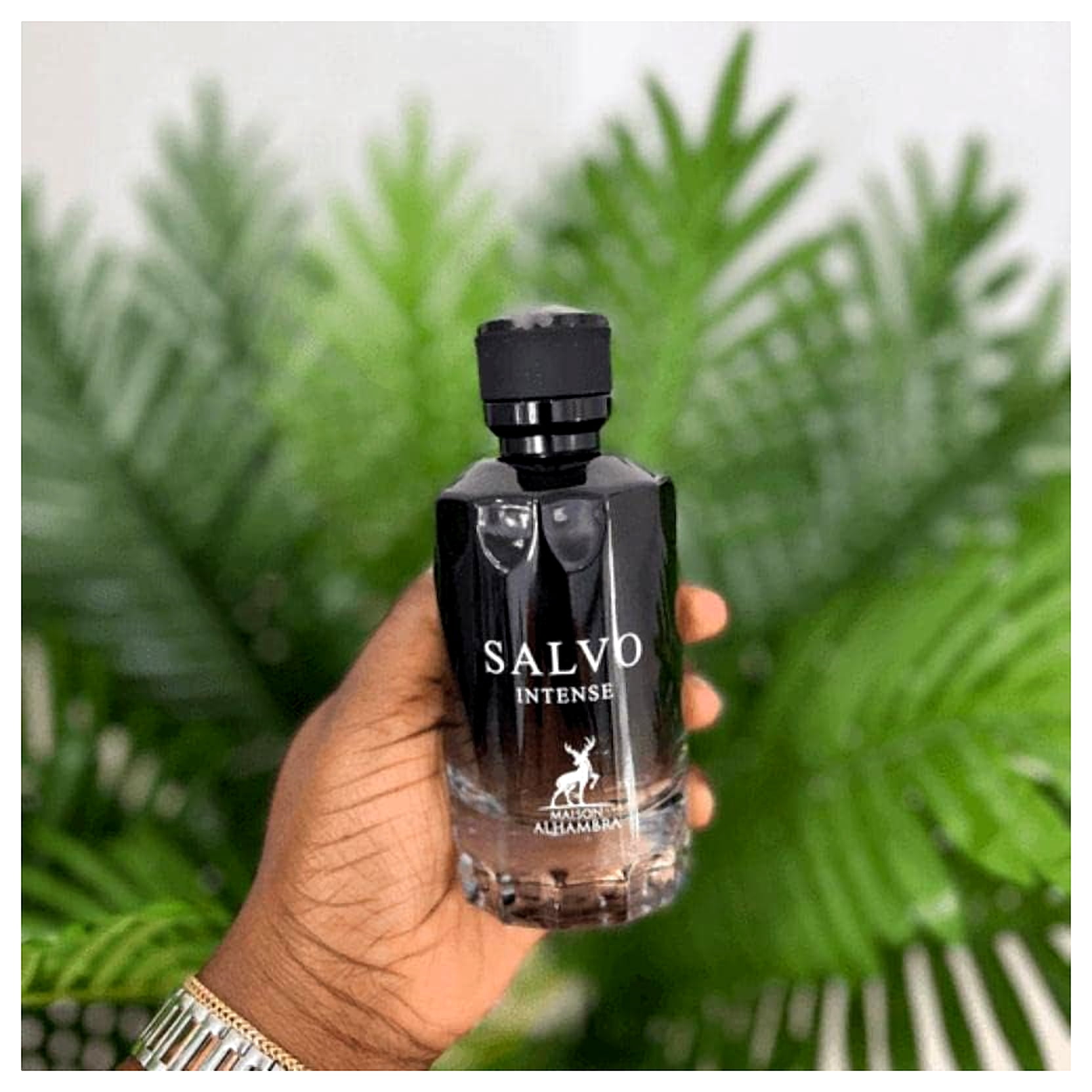 Maison Alhambra Salvo Intense Eau De Parfum Spray, 3.4 Ouncess 100ml (Men)