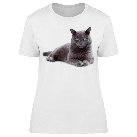 Beautiful Frontview Maltese T-Shirt Women -Image by Shutterstock, Female XX-Large
