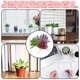 thumbnail image 2 of 8 piezas de cabezas de flores de suculentas de simulación, grandes, espinosas, pequeñas, aloe, suministros creativos de bricolaje, plantas verdes artificiales, 2 of 6