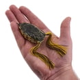 thumbnail image 4 of Berkley Swamp Lord Hollow Body Frog, 2.6 in, Chartreuse Perch, 4 of 7
