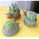 thumbnail image 5 of Macetas de plantas suculentas de animales, macetas de tortugas pequeñas, mini contenedores de plantas florales, decoración de animales, 5 of 5