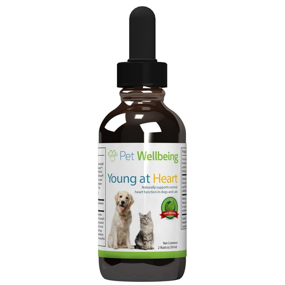 Pet Wellbeing Young at Heart for cats Natural Support For Your Cats