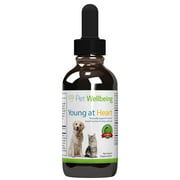 Pet Wellbeing - Young at Heart for cats - Natural Support For Your Cats Heart - 2oz(59ml)