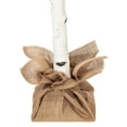 thumbnail image 3 of Vickerman 6' White Birch Twig Tree, Warm White 3mm Wide Angle LED lights., 3 of 7