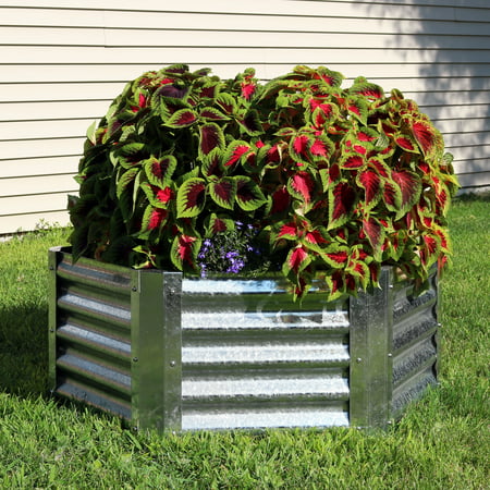 Sunnydaze Raised Metal Garden Bed Kit, Galvanized Steel 40-Inch Hexagon Planter for Plants and Vegetables, 16 Inches (Best Vegetables To Plant In Raised Garden Beds)