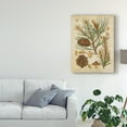 thumbnail image 3 of Trademark Fine Art 'Vintage Conifers II' Canvas Art by Vision Studio, 3 of 4