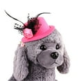 thumbnail image 1 of Xihbxyly Gorra de Verano para Mascotas, Diseño Clásico de Plumas, Elegante Visera para Perros Pequeños, Protege Del Sol, Ideal para Exteriores, Estilo Informal, Ajuste Cómodo, Tamaño 13 X 5 Cm., 1 of 2