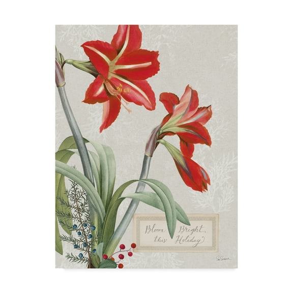 Trademark Fine Art 'Joyful Tidings I' Canvas Art by Sue Schlabach