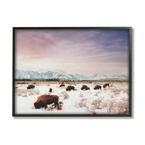 Stupell Industries Bison Desert Mountains Scene Animals & Insects Photography Black Framed Art Print Wall Art, 14 x 11