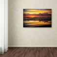 thumbnail image 3 of Trademark Fine Art Beata Czyzowska Young Morning Reflections Canvas Wall Art - 12x19, 3 of 3