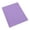 Purple, variant on Plastic 2 Pocket Folders with 3 Prongs, 3-Clasp Folders with Fasteners, Plastic Folders with Pockets and Brads, Letter Size, 3-Prong 2-Pocket Poly Folder, Plastic Folders with Brads, 9.4" x 11.4"