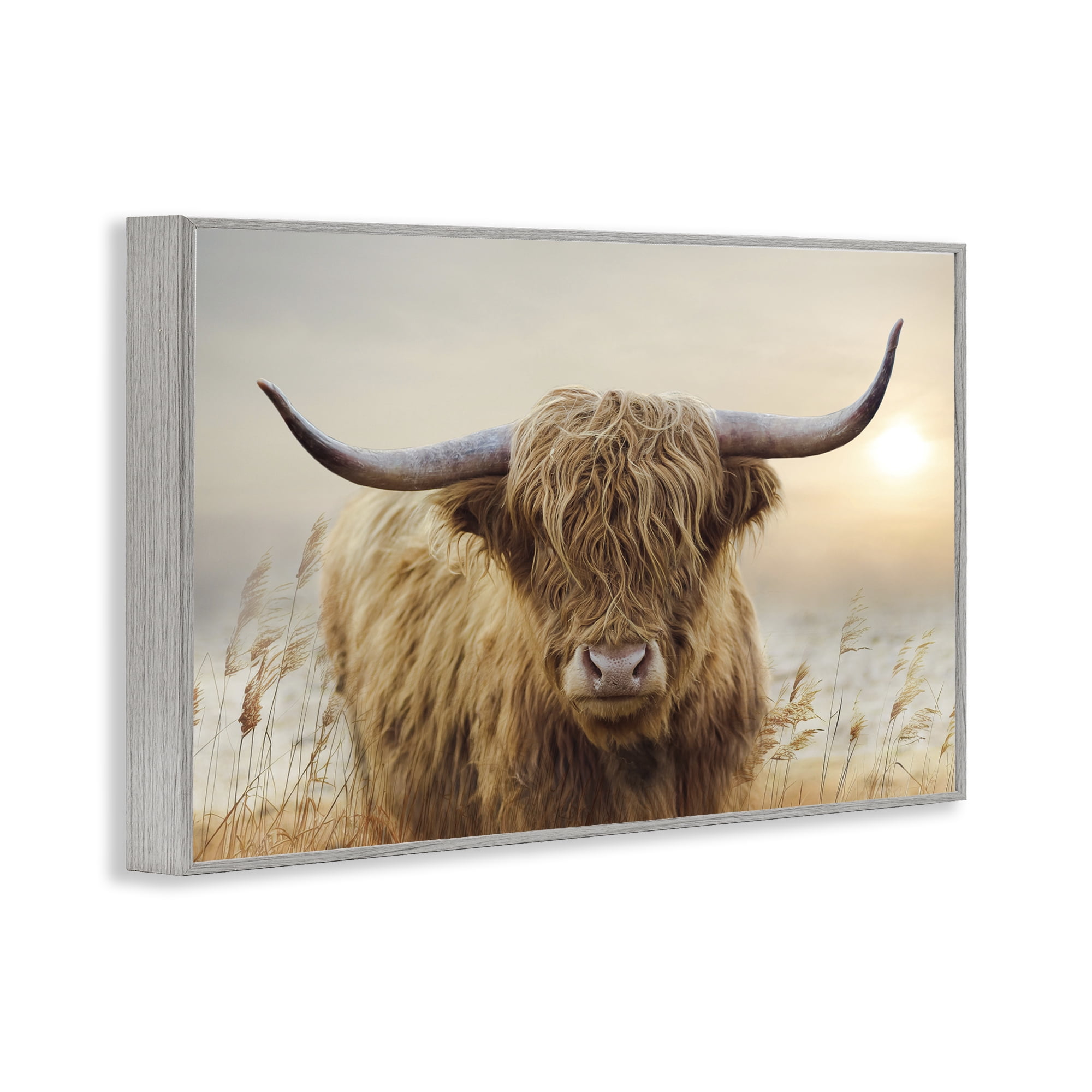 Stupell Industries Highland Cow & Warm Sunset Gray Framed Giclee Art, design by CAD Designs
