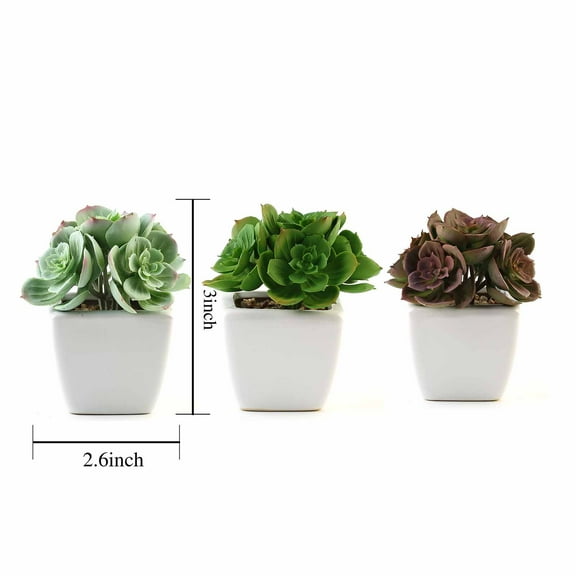 BalsaCircle 3 Green Assorted 5" Artificial Faux Succulent Echeveria Plants Off White Pots
