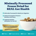 thumbnail image 4 of Solid Gold Real Beef & Pumpkin Freeze-Dried Raw Meal Dog Food Topper, 5.5-oz bag, 4 of 12