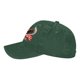 thumbnail image 4 of US 250th Anniversary Hat Adjust Washed Patriotic Baseball Cap USA Flag Celebrate 250 Years, 4 of 8