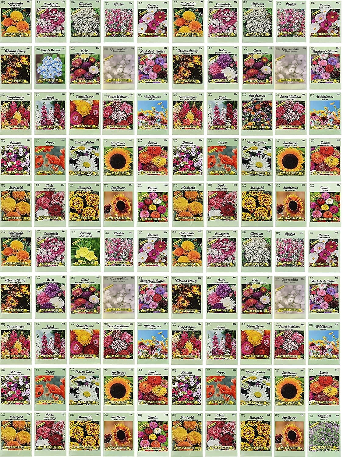Deluxe Set of 25 Flower Seed Packets - 10 High Germination, Non-GMO  Varieties - Walmart.com