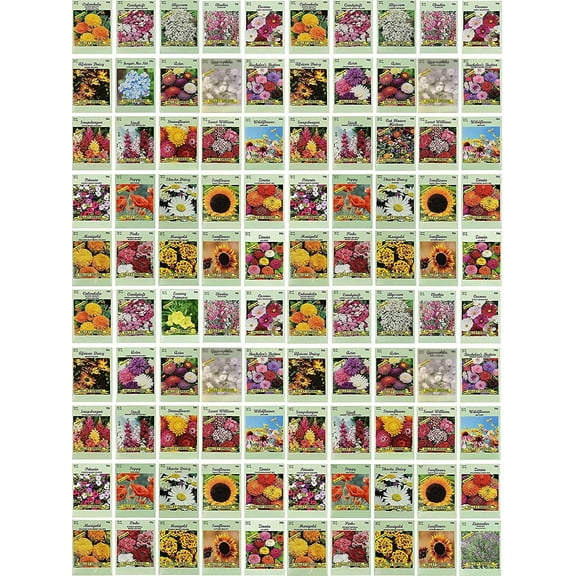 Black Duck Brand 100 Valley Green Flower Seeds