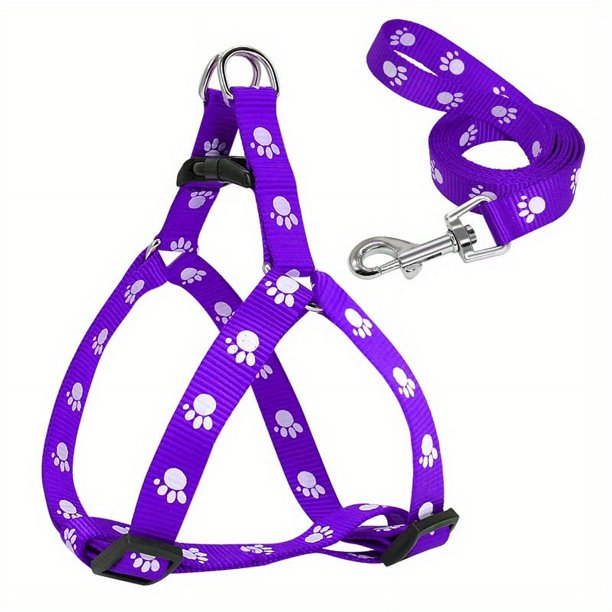 Premium Nylon Dog Harness & Leash Set - Perfect for Small & Medium Dogs!