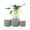 Blue, variant on UMIAMOY Cylinder Ceramic Plant Pots,5.8+6.9+8.3 inch Plant Pots with Drainage Holes and Saucer,Set of 3 Ceramic Flower Pots for Indoor Outdoor Decoration,White