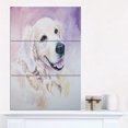 thumbnail image 1 of Funny Golden Retriever - Animal Canvas Art Print, 1 of 3