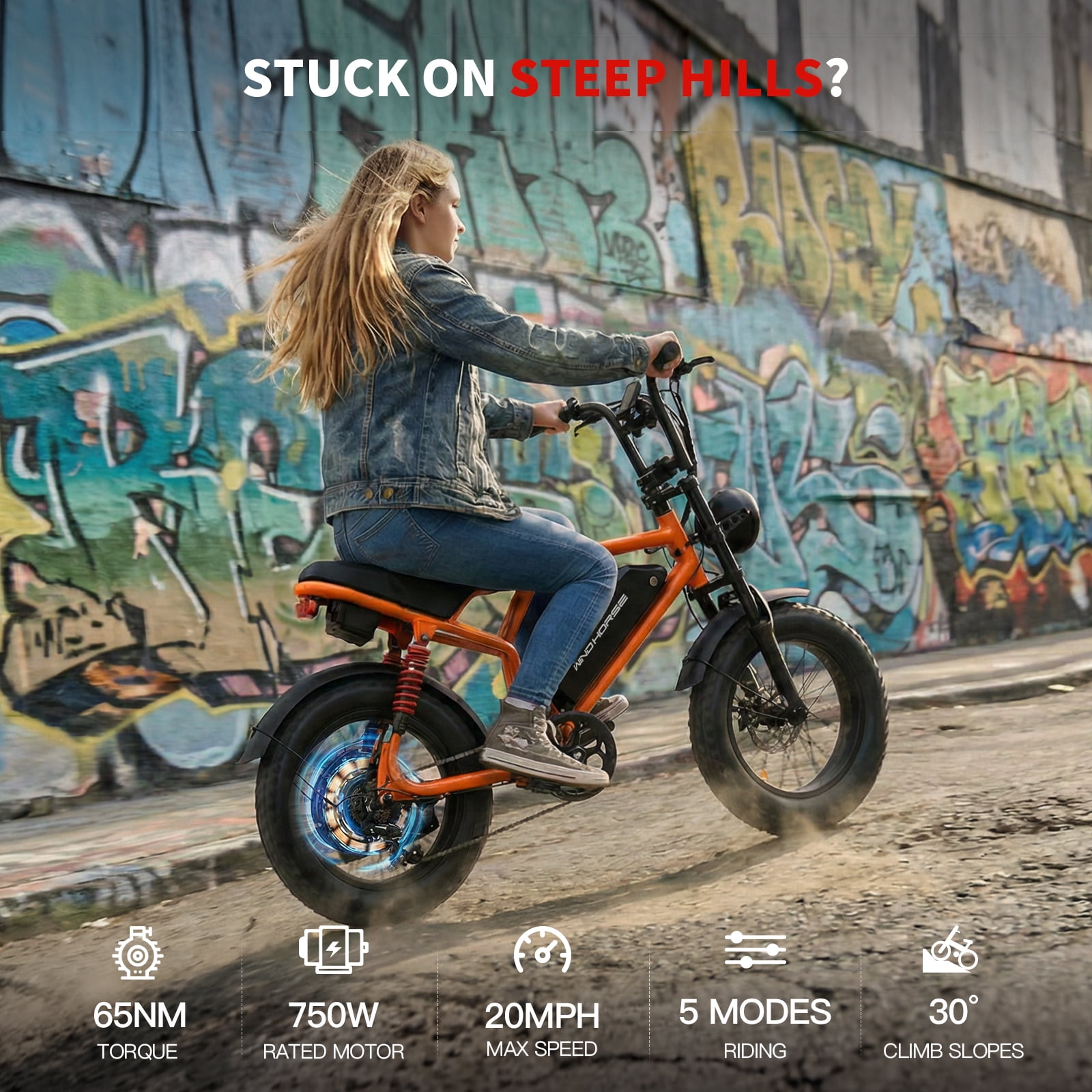 WINDHORSE Electric Bike for Adults, 750W Motor, 20 mph, 48V 15Ah Removable Battery 35-65 Miles Range, 16" Fat Tire E Mountain Bike, Built-in Speaker
