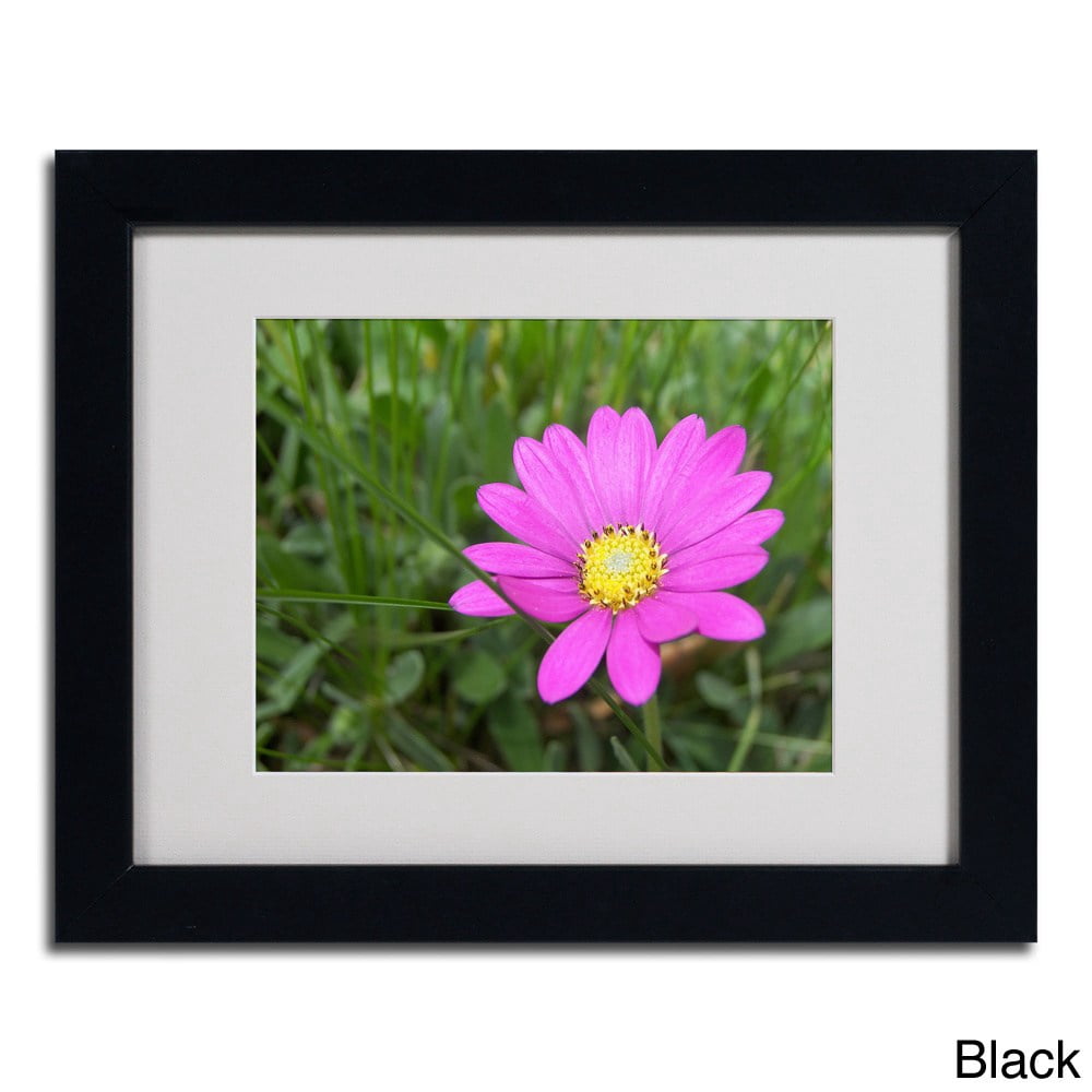 Trademark Fine Art "Alluring Vibrance" by Monica Fleet, Wood Frame