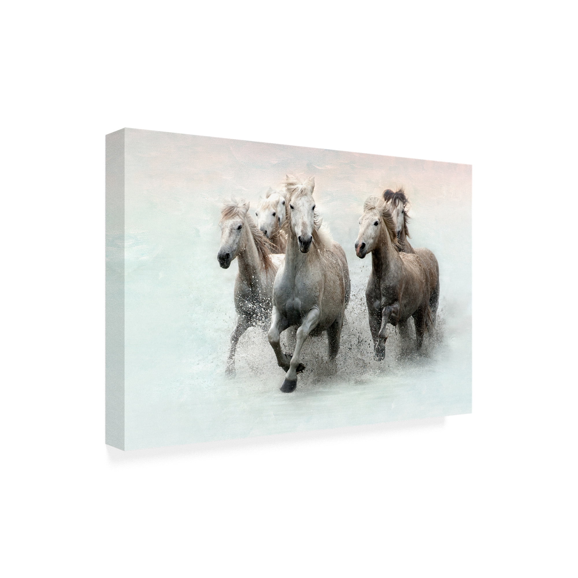 Trademark Fine Art 'Run and Splash' Canvas Art by Merrie Asimo