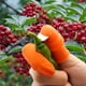 thumbnail image 5 of Juego de fundas para el dedo, cortador de pulgar, herramienta de recolección para cosechar plantas, jardinería, recolector de frutas y verduras, 5 of 5