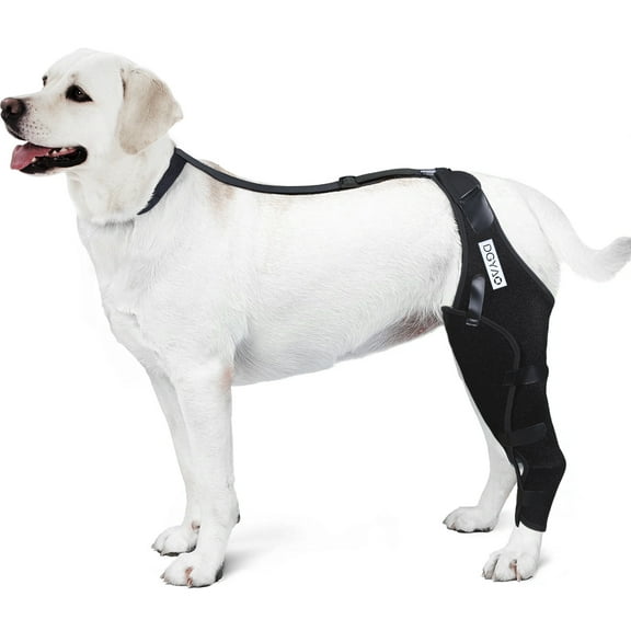 DGXINJUN Dog Knee Leg Brace Knee Cap Dislocation Arthritis Full Wrap Easy Adjustable