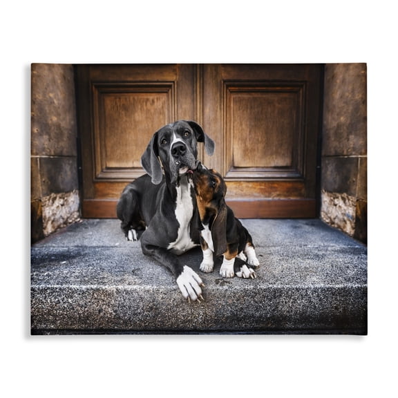 Stupell Industries Eclectic Dogs on Doorstep Canvas Art, 30 x 24, by Natalie Grosse