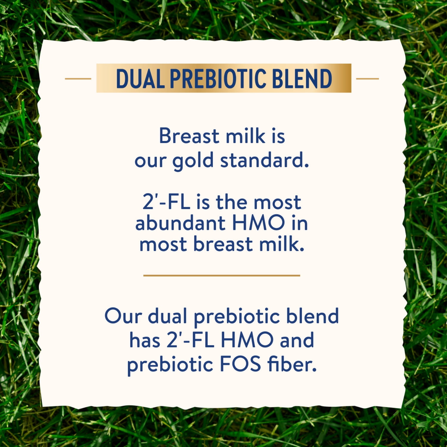 Similac Dual Prebiotic Blend Powder Baby Formula, 0-12 Months, 30.8-oz Can