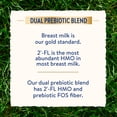 thumbnail image 3 of Similac Dual Prebiotic Blend Powder Baby Formula, 0-12 Months, 30.8-oz Can, 3 of 17