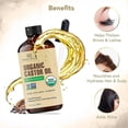 thumbnail image 3 of Castor Oil | USDA Certified Organic |100% Pure & Hexane Free | Cold Pressed |, 3 of 5